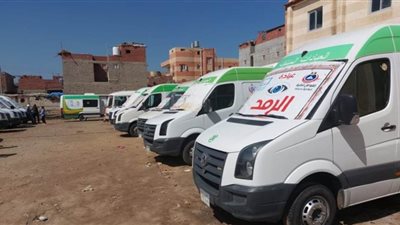 فحص 1159 حالة ضمن قافلة طبية بدمياط