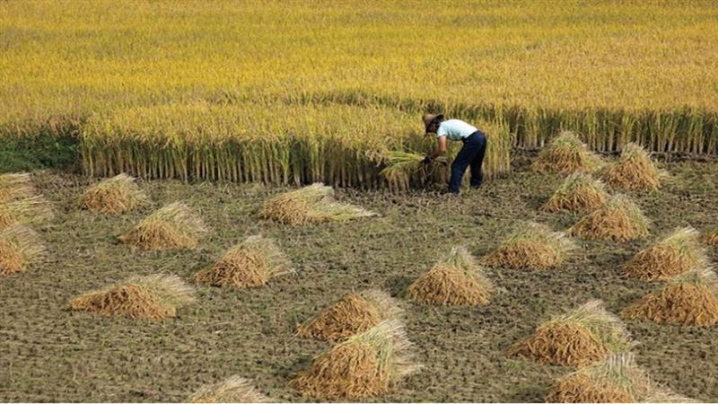 الصين تزيد إنتاجها