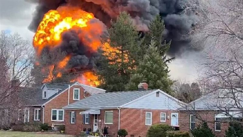 الصورة ملتقطة من