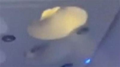 عاجل.. طائر يجبر طائرة على إلغاء الرحلة والعودة إلى كوبا