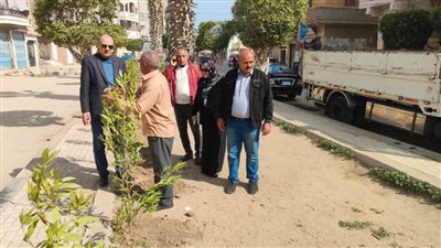 زراعة 36 ألف شجرة بـ