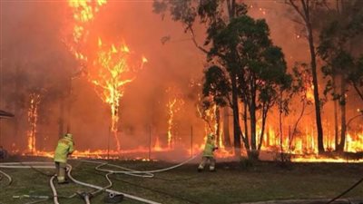 تحذيرات في أستراليا من تزايد حرائق الغابات مع موجة الحر التي تهيمن على سيدني