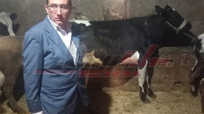 تحصين 44 ألفًا و285 رأس ماشية ضد الحمى القلاعية والوادي المتصدع بكفر الشيخ