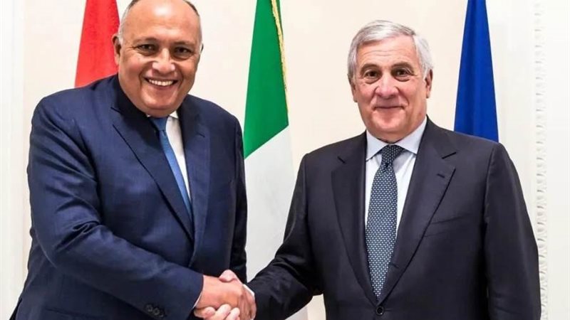 سامح شكري وأنطونيو