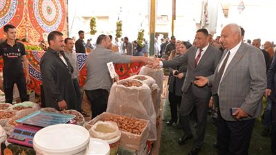 محافظ الدقهلية يفتتح معرض 