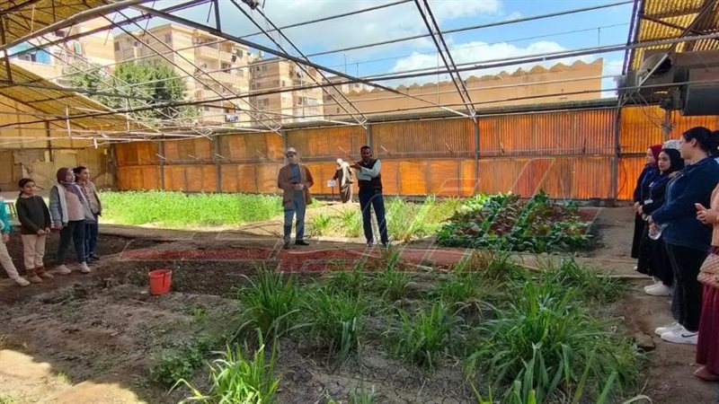 طلاب كفرالشيخ