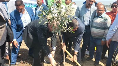 وزير التنمية: 60 ألف شجرة لبني سويف ضمن 100 مليون شجرة