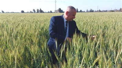 وكيل وزارة الزراعة بالبحيرة يتابع زراعات القمح بمركز أبو حمص