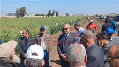 وفد هيئة الطاقة الذرية يطلع على الأصناف والسلالات المبشرة للقمح بمحطة بحوث سخا