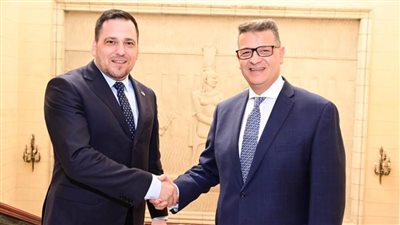 طارق رضوان رئيس لجنة حقوق الإنسان يعقد لقاء مع نائب البرلمان الأوروبي