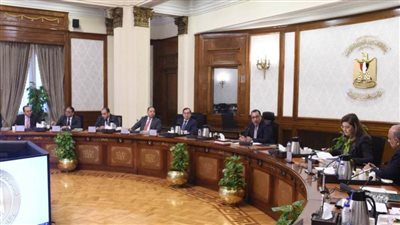 عاجل| الحكومة: طرح أربع شركات  كبرى من خلال بنوك استثمار دولية