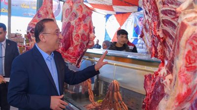 محافظ الإسكندرية يفتتح معرض 