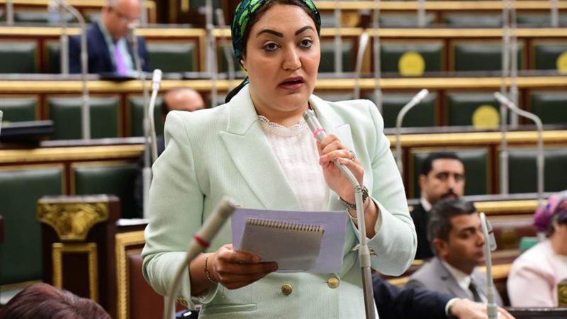 النائبة أسماء الجمال