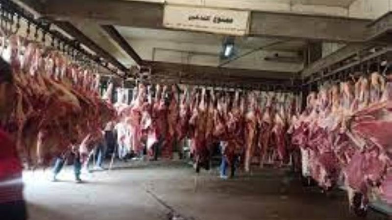 الكميات المطروحة