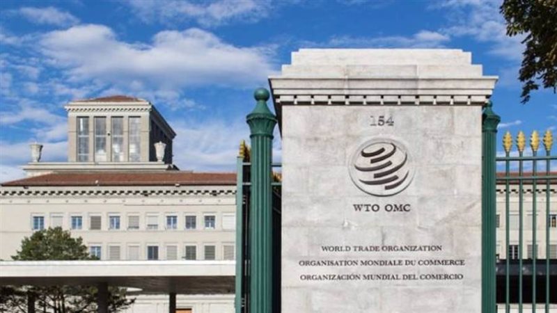 ذا ديبلومات