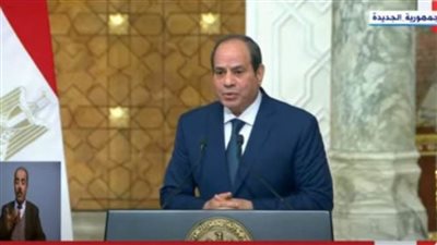 عاجل.. الرئيس السيسي يؤكد استعداد مصر لتقديم كافة التسهيلات اللازمة لعمل الشركات الدنماركية في مصر
