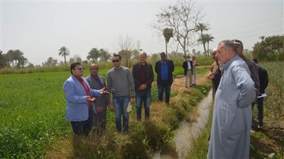 نائب محافظ بني سويف يتفقد حقولًا بالواسطى استعداداً لموسم توريد القمح