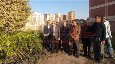 تعليم كفر الشيخ يتسلم 1000 شجرة مثمرة لزراعتها بالمدرسة ضمن مبادرة 100 مليون شجرة