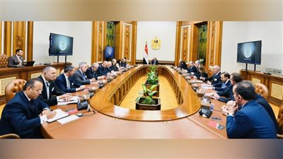 الرئيس السيسي يستقبل وفدًا إيطاليًا رفيع المستوى لبحث تعزيز التعاون الثنائي