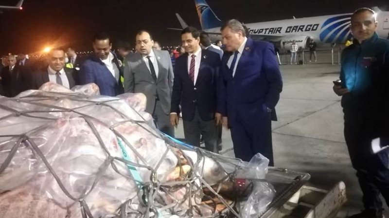 وصول أولى طلائع شحنات