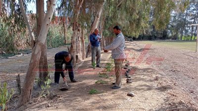 بدء فعاليات مشروع مبادرة 