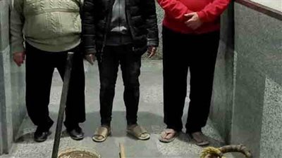  ضبط 3 أشخاص لقيامهم بالحفر والتنقيب عن الآثار داخل أحد العقارات بالقاهرة