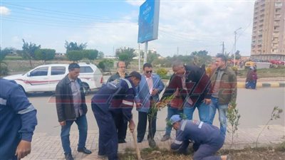 زراعة الأشجار بقرى ومدن كفر الشيخ ضمن مبادرة 