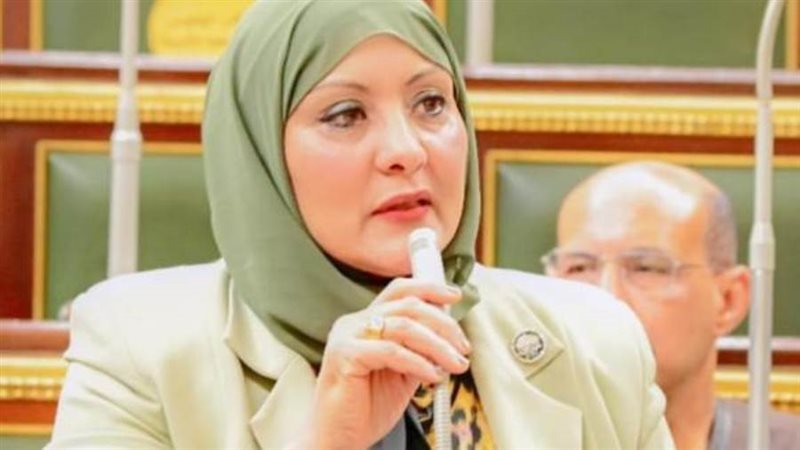 النائبة هناء فاروق