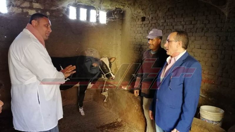 تحصين المواشي