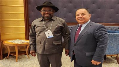 وزير المالية: لابد من تضافر الجهود الإفريقية لمواجهة الأزمة الاقتصادية العالمية الراهنة