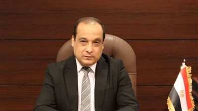 رئيس اللجنة القضائية: سعدنا بتواجدنا لتأمين سير العملية الانتخابية للصحفيين 