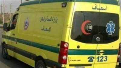 إصابة 9 أشخاص في حادث انقلاب تروسيكل بطريق بحر البقر بالشرقية