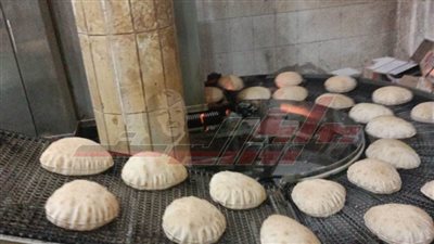 تموين كفر الشيخ يحرر 35 محضرًا لأصحاب المخابز وضبط سلع منتهية الصلاحية    