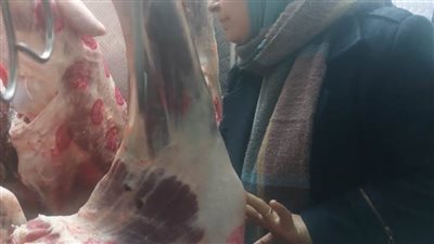 ضبط لحوم غير صالحة للاستهلاك الآدمي وتحرير 31 محضرًا بالبحيرة 