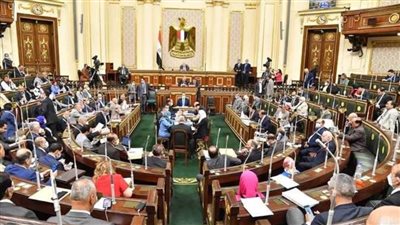 البرلمان يرفض رفع الحصانة عن النائب عيد حماد