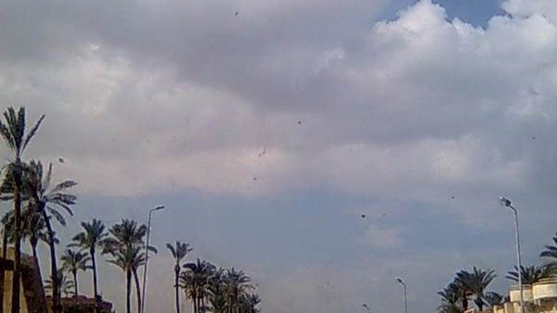 بوابة روز اليوسف