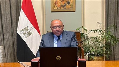 وزير الخارجية يعرب عن اهتمام مصر بتعزيز التعاون الاقتصادي مع الدول النوردية