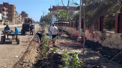 تحرير 65 محضرًا تموينيًا متنوعًا لأصحاب المخابز والمحال التجارية بكفر الشيخ