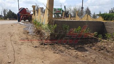 زراعة الأشجار بمدن وقرى 4 مراكز بكفر الشيخ 