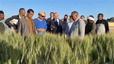 جامعة المنيا تبدأ في تدشين وحدة لتسمين الماشية بمركز التجارب والبحوث الزراعية بشوشة