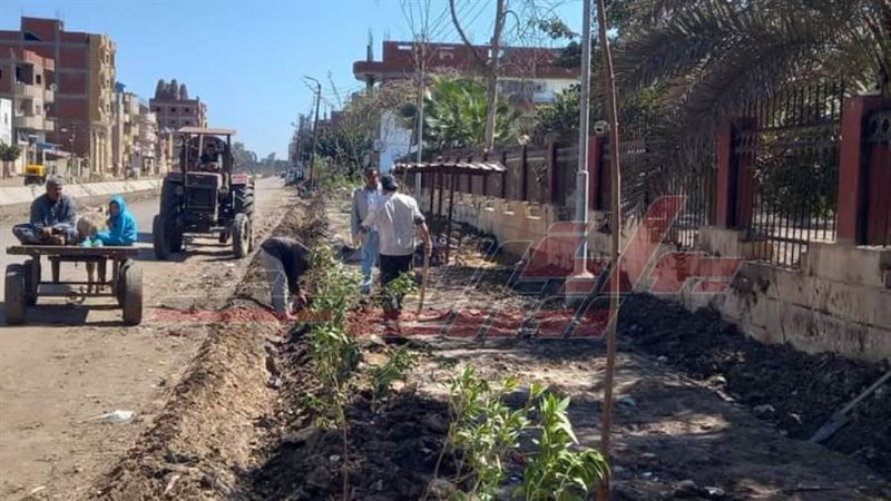 زراعة الأشجار