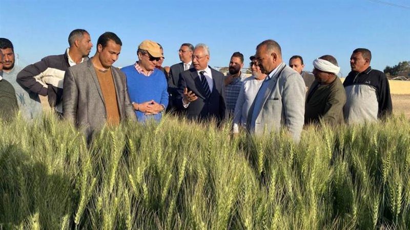 رئيس جامعة المنيا