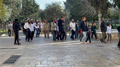 عشرات المستوطنين يقتحمون 