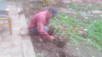 زراعة الأشجار المثمرة ضمن مبادرة 