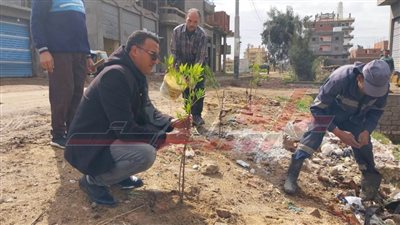 مدن كفر الشيخ تزرع الأشجار ضمن مبادرة 