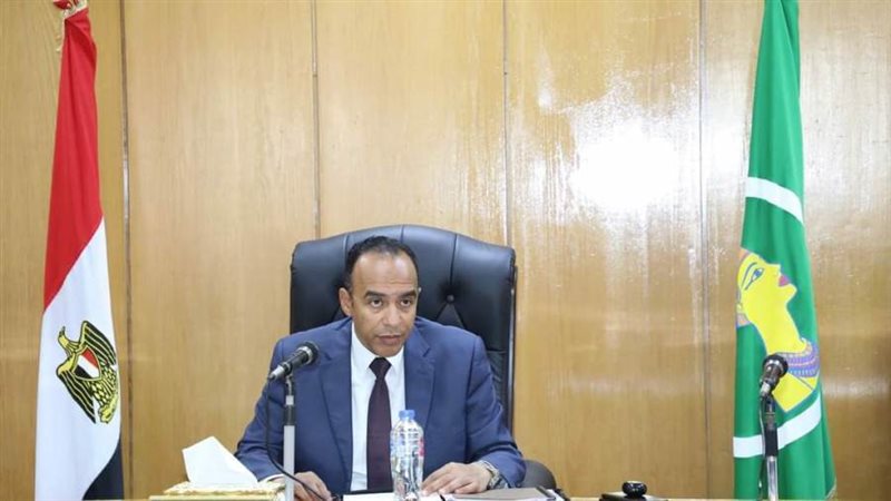 نائب محافظ المنيا