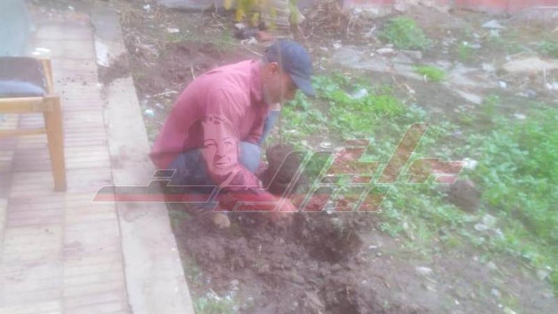 زراعة الأشجار