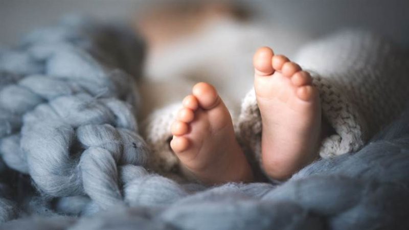 تحديد الأجنة