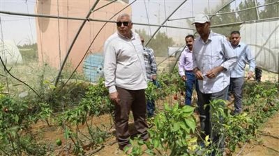 محافظ الوادي الجديد يتفقد أحد مشروعات الشباب الزراعية المتميزة 