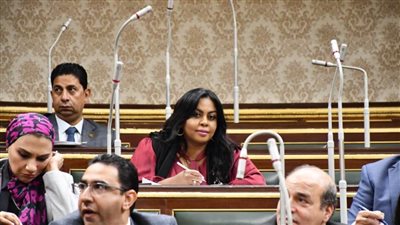 النائبة نيفين حمدي: الحكومة نجحت بكفاءة في ضبط الأسعار وتوفير السلع الاستراتيجية والمواطن شعر بالفرق